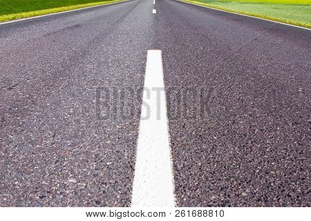 Asphalt Grey Bitumen Road With Bright Green Fields