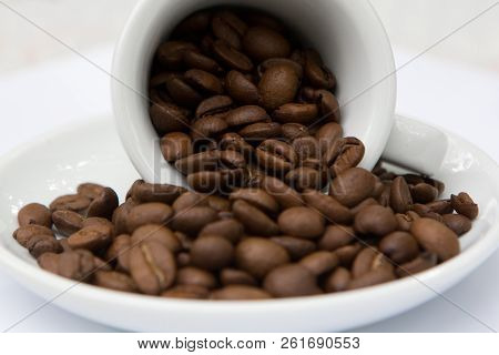 Brown Coffee Beans And Seeds In Ceramic Cup And Plate