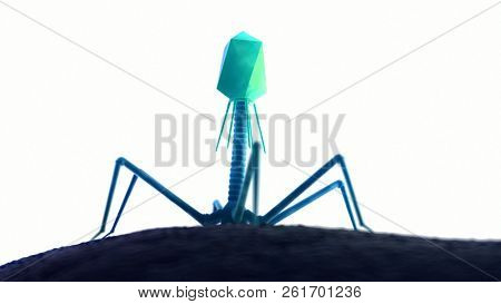 3d rendered medically accurate illustration of a bacteriophage on a bacteria