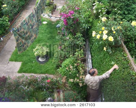 Hedge