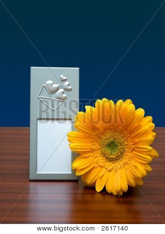 Fotoramme og blomst