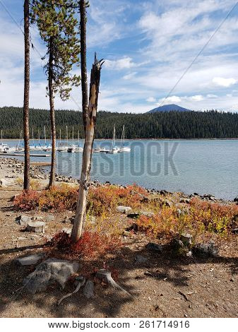 Foliage In Vibrant Fall Colors Of Red And Yellow Along The Shores Of Elk Lake In The Cacade Mountain