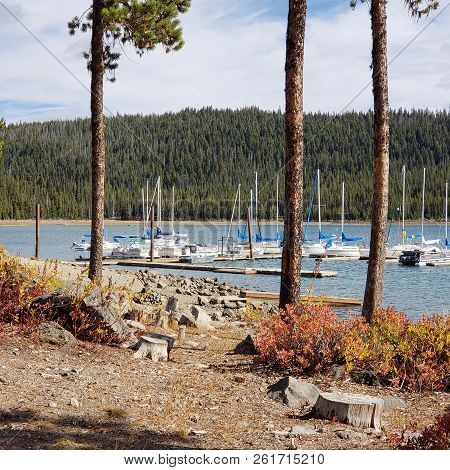 Foliage In Vibrant Fall Colors Of Red And Yellow Along The Shores Of Elk Lake In The Cacade Mountain