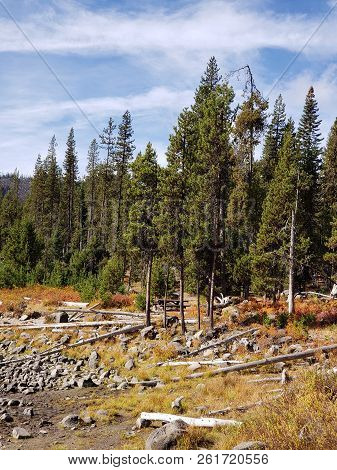 Foliage In Vibrant Fall Colors Of Red And Yellow Along The Shores Of Elk Lake In The Cacade Mountain