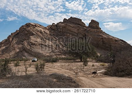 Swakopmund, Namibia,november 13, 2017: Car On A Sand Road In The Dry River Bed Of The Swakop River W