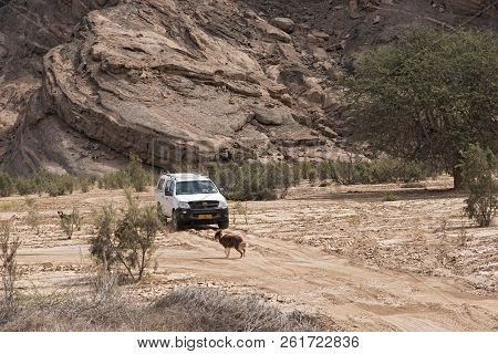 Swakopmund, Namibia,november 13, 2017: Car On A Sand Road In The Dry River Bed Of The Swakop River W