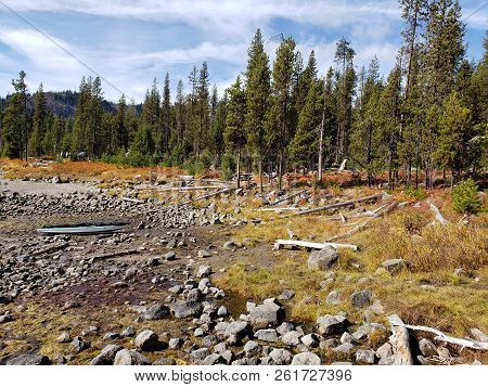 Foliage In Vibrant Fall Colors Of Red And Yellow Along The Shores Of Elk Lake In The Cacade Mountain