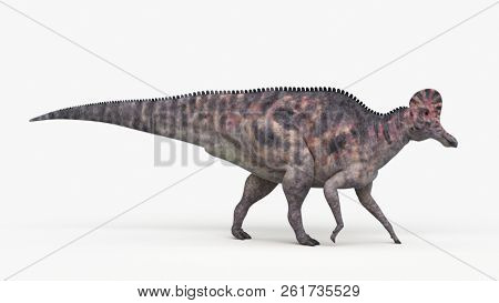 3d rendered illustration of a corythosaurus