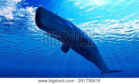 3d rendered illustration of a sperm whale