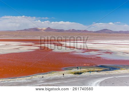 The Very Unique Laguna Colorida In Bolivia