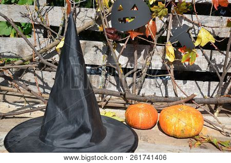Hat Of Witch On With A Pumpkin For Halloween