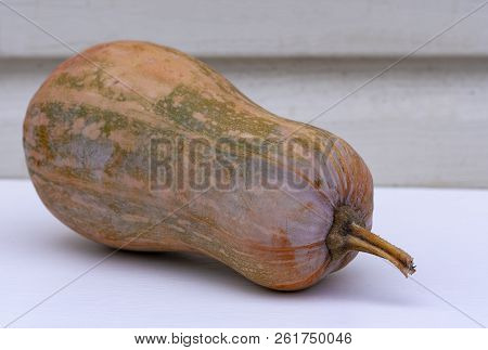 Ripe Orange Pumpkin On A White Background