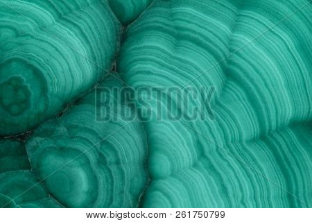 The Green Malachite. An Ornamental Stone. Photo Texture. Macro.