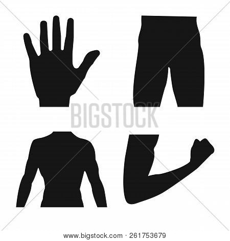 Isolated Object Of Human And Part Icon. Set Of Human And Woman Vector Icon For Stock.