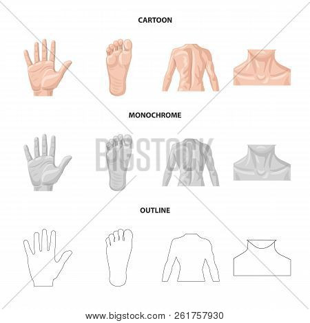 Isolated Object Of Human And Part Sign. Set Of Human And Woman Vector Icon For Stock.
