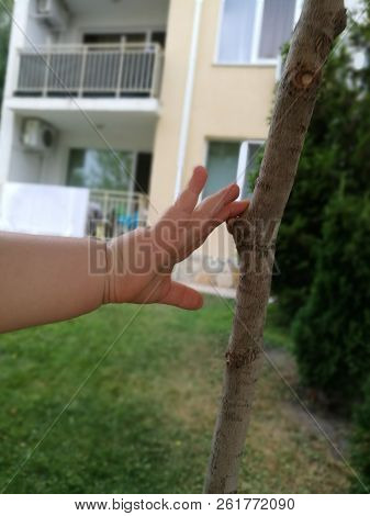 Architecture Body Part Day Finger Focus On Foreground Hand Holding Texturedhuman Human Finger Limb L