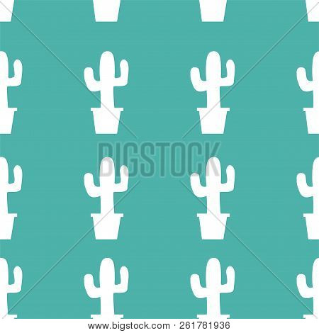 Many White Cactuses On The White Background