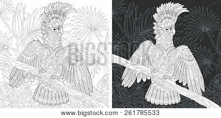 Coloring Page. Coloring Book. Colouring Picture With Cockatoo Parrot Drawn In Zentangle Style. Antis