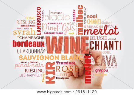 Wine Varietals Types Word Cloud Collage With Marker, Concept Background