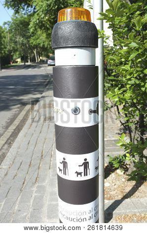 Pedestrian Crossing Traffic Pole For Blind People. Emerging Lighting On Ground And Auditive System