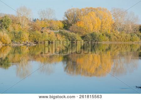 Autumn Landscape Lake. Lake At Sunset. Yellow Foliage