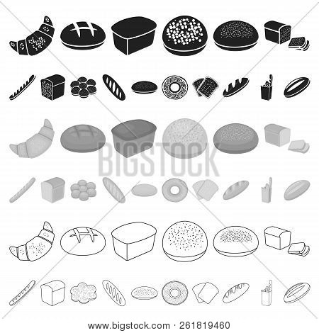 Types Of Bread Cartoon Icons In Set Collection For Design. Bakery Products Vector Symbol Stock Web I