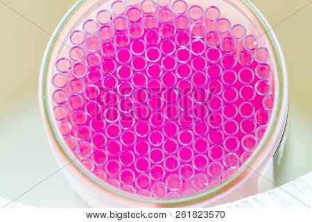 Close Up Abstract Capillary Tube Design For Background,selective Focus