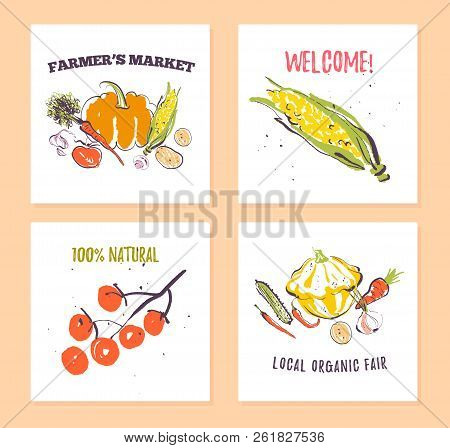Vector Set Of Hand Drawn Cards For Food Festival, Farmers Market And Harvest Fair With Fresh Hand Dr