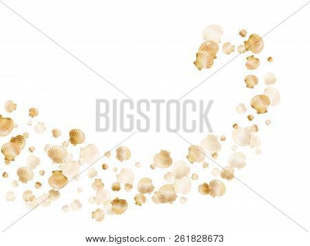 Gold Seashells Vector, Golden Pearl Bivalved Mollusks. Cute Scallop, Bivalve Pearl Shell, Marine Mol