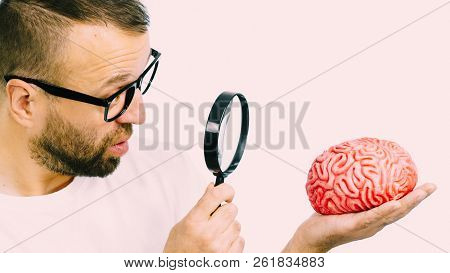 Adult Nerd Man Wearing Eyeglasses Looking At Human Brain Model. Thinking And Intelligence Conept