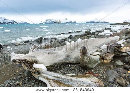 Beautiful Landscape And Scenery In Antarctica