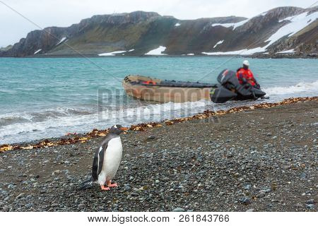 Beautiful Landscape And Scenery In Antarctica