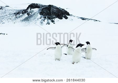 Beautiful Landscape And Scenery In Antarctica