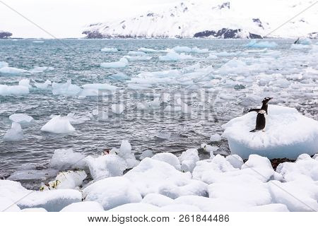 Beautiful Landscape And Scenery In Antarctica