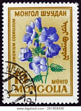 Mongolia - Circa 1960: A Stamp Printed In Mongolia Shows Greek Valerian, Polemonium Caeruleum, Is A 
