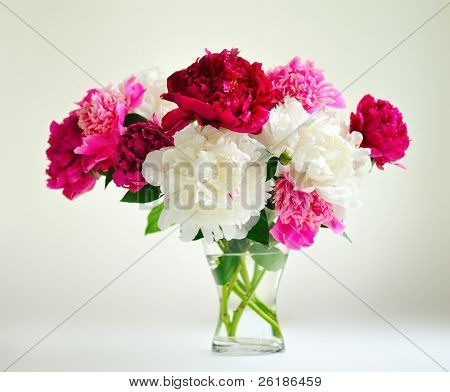  bouguet ของ peonies