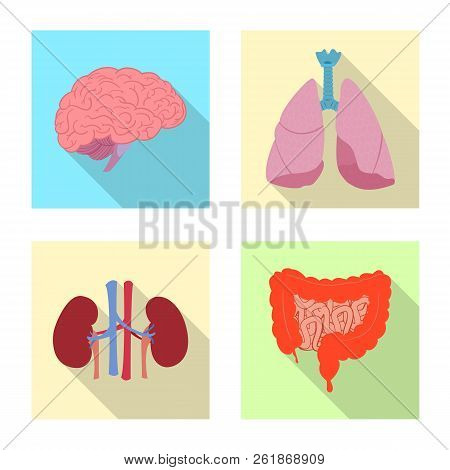 Vector Illustration Of Body And Human Sign. Set Of Body And Medical Stock Vector Illustration.