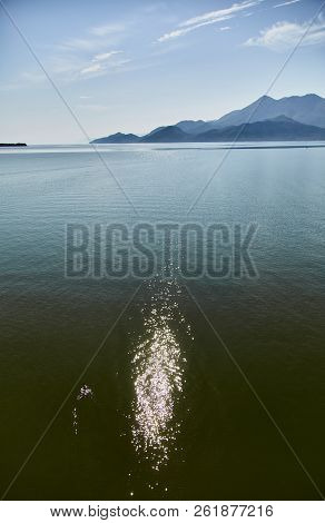 Skadar Lake. National Park. Famous Place. Montenegro. Summer