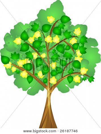 spring tree with colourful leafs