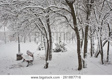 A Snow Covered Bench In A Park