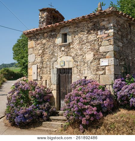 Small Chapel Of La Pereda With Blooming Hydrangeas, Camino De Santiago, Asturias Spain