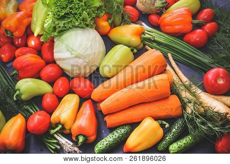 A Rich Variety Of Food Photography Vegetables.
A Rich Variety Of Autumn Colorful Bright And Fresh Ve