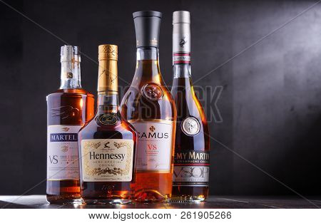 Bottles Of Famous Cognac Brands
