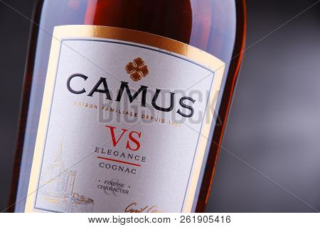 Bottle Of Camus, A Brand Cognac From Cognac, France
