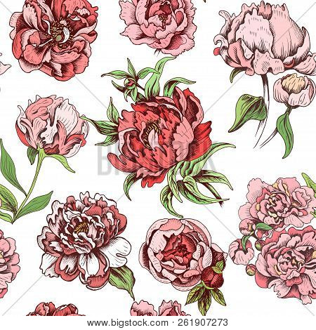 Vector Illustration Sketch - Card With Flowers Chrysanthemum, Peony. Pattern With Flowers. Dahlias, 