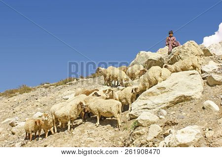 Child Labor - Shepherd Child Sitting On A Rock On Mountain In Swat, Kpk, Pakistan