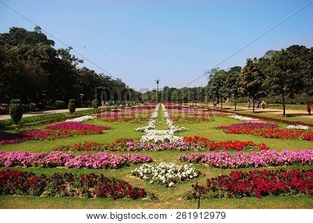 Beautiful Flower Exibition Lahore 2016 In Race Course Park. Lahore, Pakistan 26-03-2016