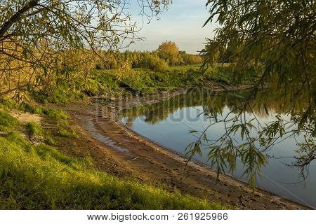 The Silty Shore Of A Forest Lake Covered With Grass And Small Forest