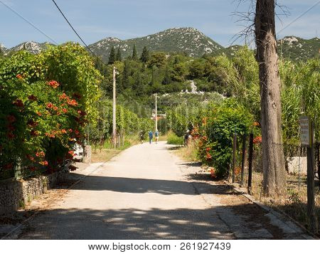 Tourist Enjoing The Walk On The Path Leading Around Beautiful Bacina Lakes - Favourite Summer Holida