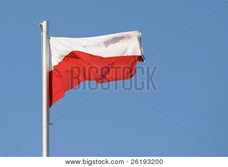 Bandiera polacca